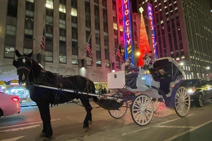 マジカル・ロックフェラー クリスマスライト 馬車乗り物