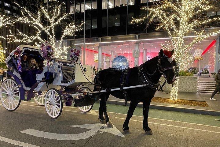 マジカル・ロックフェラー クリスマスライト 馬車乗り物