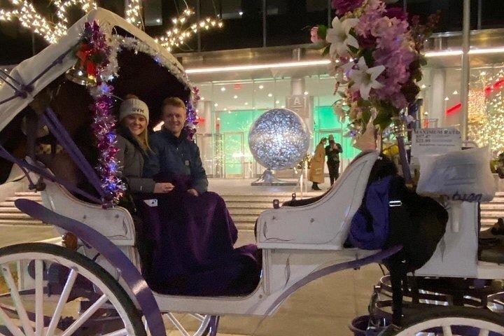 マジカル・ロックフェラー クリスマスライト 馬車乗り物