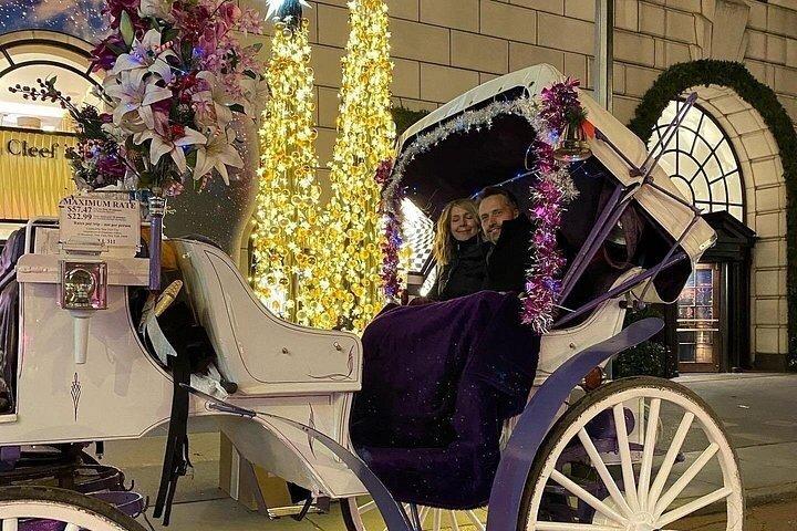 マジカル・ロックフェラー クリスマスライト 馬車乗り物