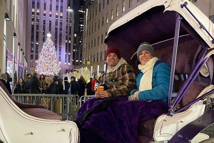 マジカル・ロックフェラー クリスマスライト 馬車乗り物