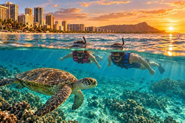 Waikiki Sunset Turtle Snorkeling with Cocktails & FREE Pickup