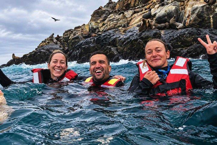 カヤオ島とリマ・レアル・フェリペ島、パロミノとウォーターサーキット