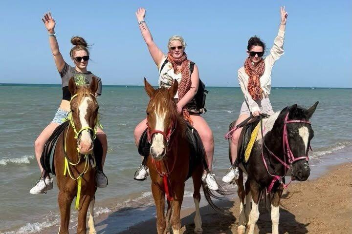 マルサアラムとポートガリブで乗馬