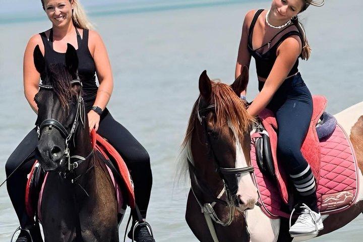マルサアラムとポートガリブで乗馬