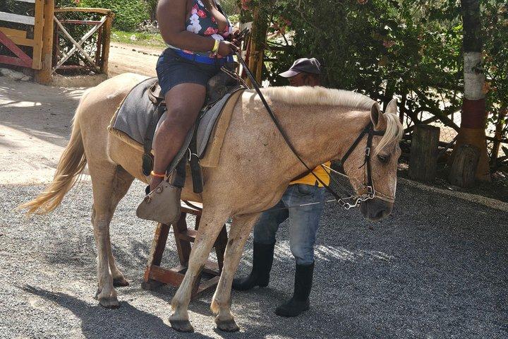 Beach & Paradise: Punta Cana Horseback Riding Adventure