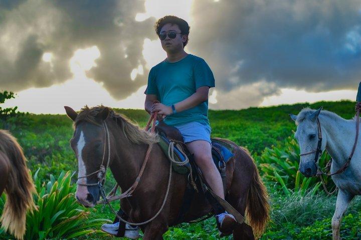 Beach & Paradise: Punta Cana Horseback Riding Adventure