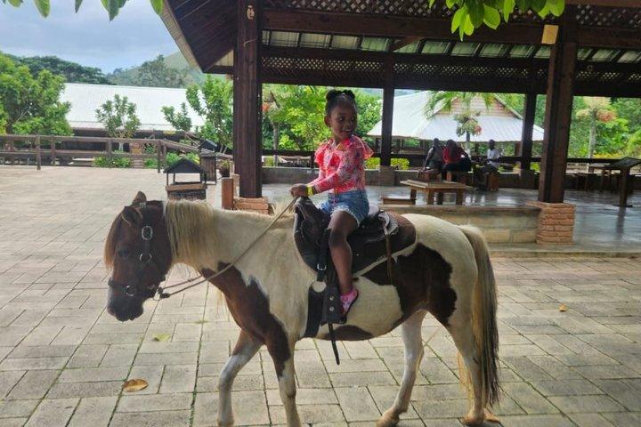 Beach & Paradise: Punta Cana Horseback Riding Adventure
