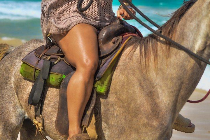 Beach & Paradise: Punta Cana Horseback Riding Adventure