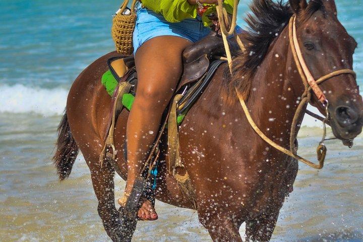 Beach & Paradise: Punta Cana Horseback Riding Adventure