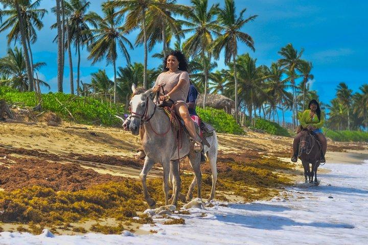 Beach & Paradise: Punta Cana Horseback Riding Adventure
