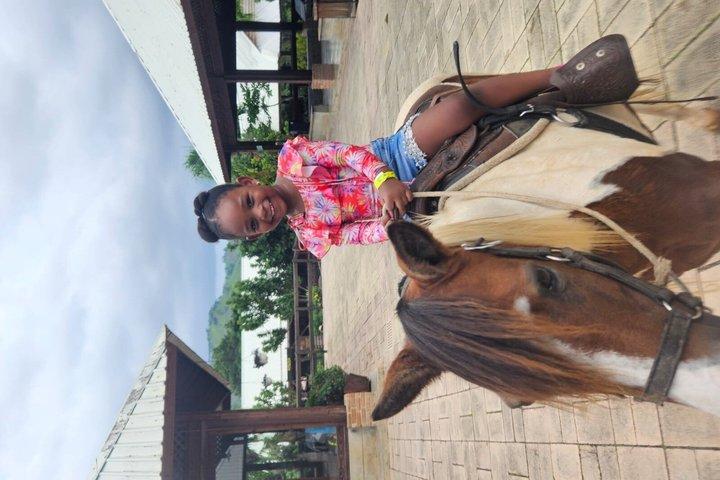 Beach & Paradise: Punta Cana Horseback Riding Adventure