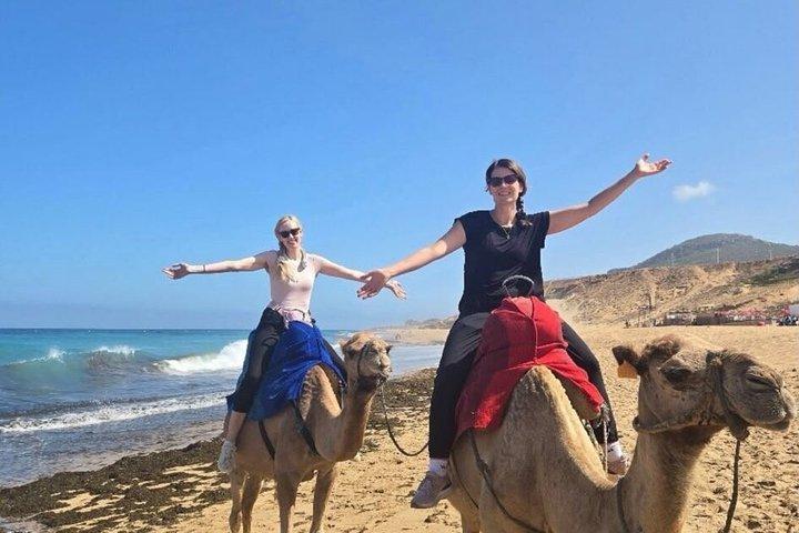 タンジェからアシラへの豪華プライベート日帰り旅行