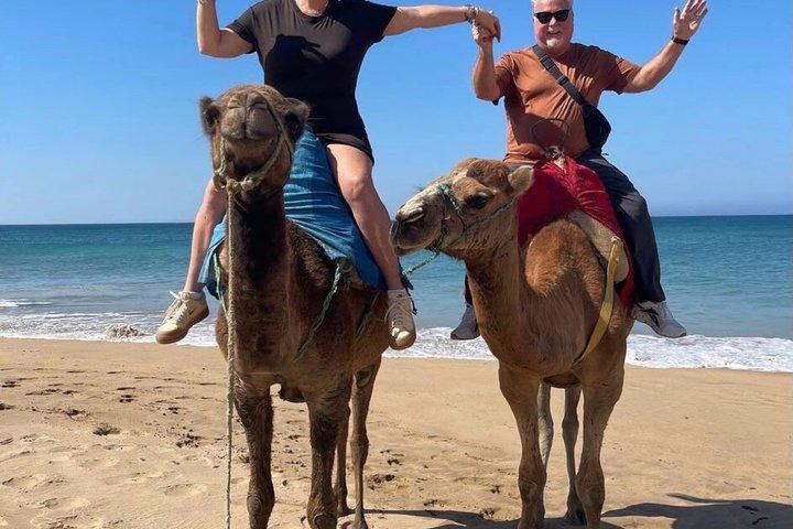 タンジェからアシラへの豪華プライベート日帰り旅行