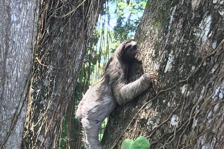 プエルト・ビエホの隠れた名所と滝