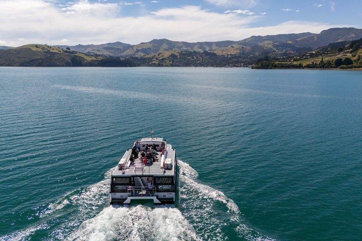 Akaroa Harbour Nature Cruise