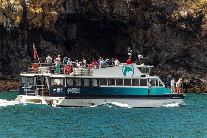 Akaroa Harbour Nature Cruise