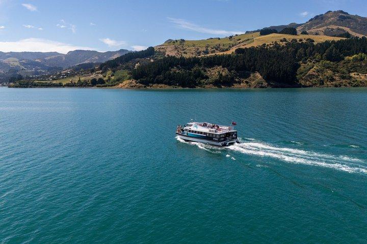 Akaroa Harbour Nature Cruise
