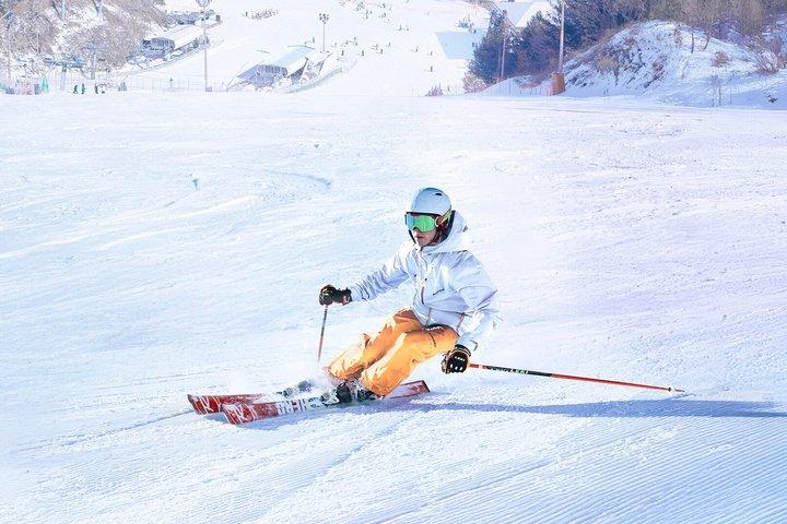 Seoul: Eobi Ice Valley, Elysian Ski Resort, Nami Island Day Trip