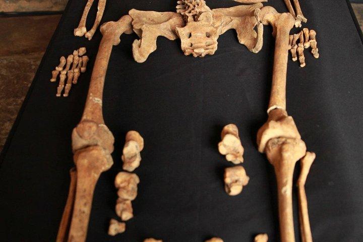 ロンドン市内のスクリームの1マイル暗黒歴史ツアー