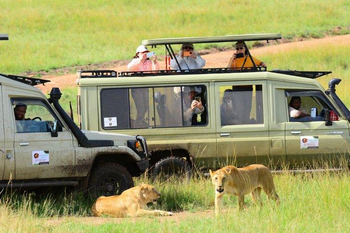 ナイロビから3日間のmasai mara safari