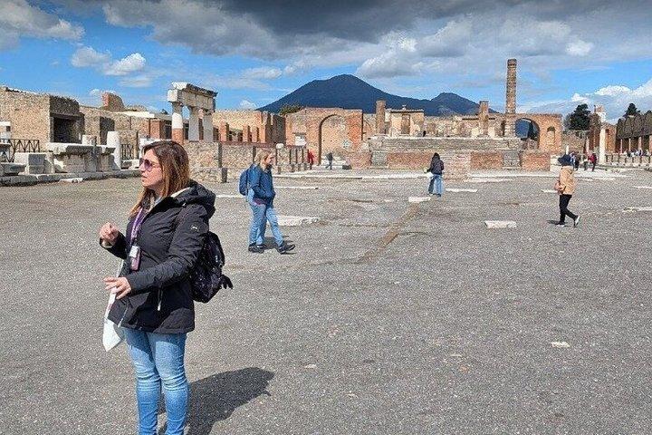 Visita guiada privada a Pompéia e Positano saindo de Roma