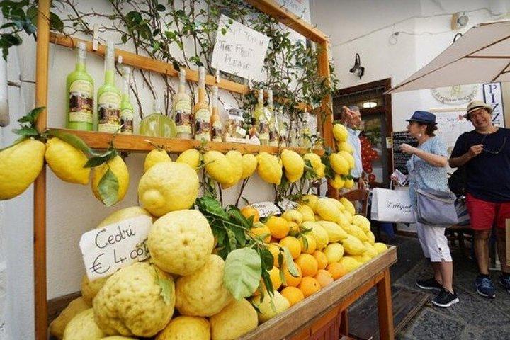 Visita guiada privada a Pompéia e Positano saindo de Roma