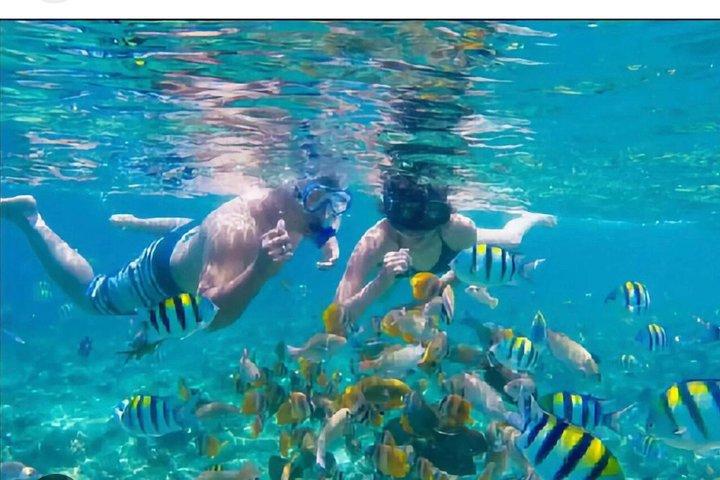 ネグリル : MORNINGカタマランクルーズ洞窟群スイミングリーフシュノーケリング