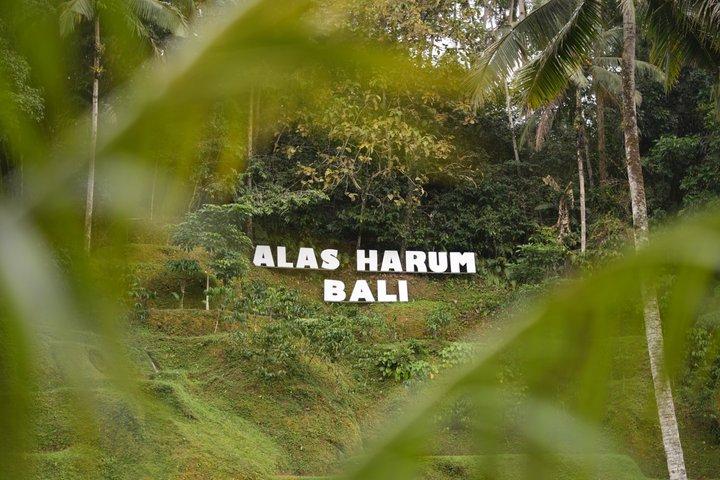 Customizable Private Tours in Bali with Local Expertise