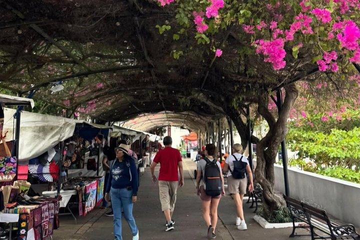 パナマ運河、旧市街、アマドール島：ホテル送迎付き