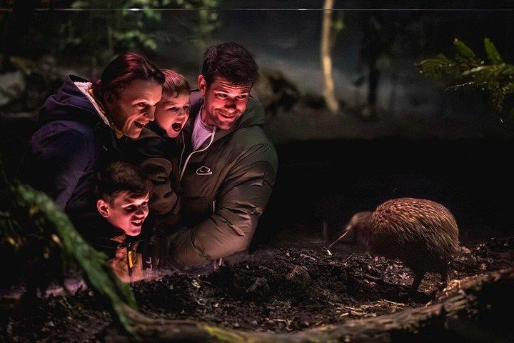Kiwi Park Queenstown Wildlife Sanctuary Admission Ticket