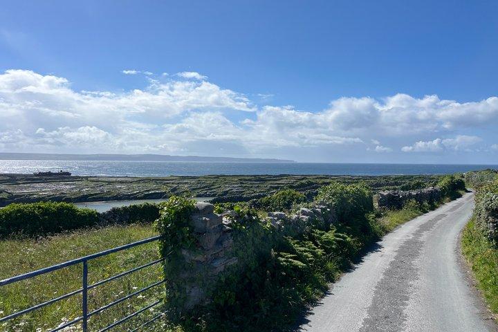 Abbeyleix Chauffeur Services Begeleide Ervaringen