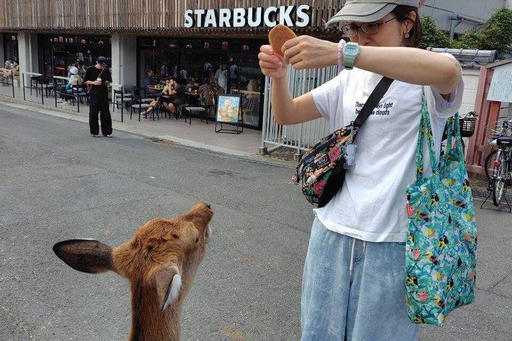 奈良酒蔵ツアー：酒のふるさと、2つの酒蔵と試飲