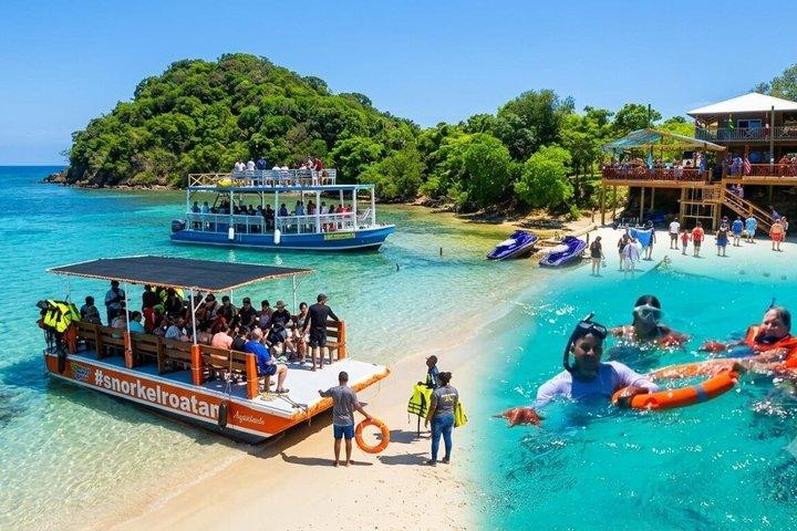 Roatán Zipline Canopy Adventure + 2-Stop Snorkel Safari