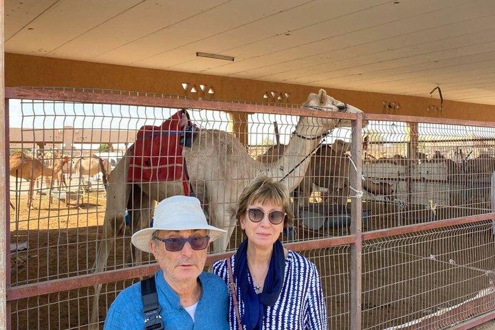 Al Ain Full Day Tour from Abu Dhabi with Lunch