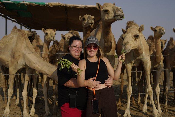 Al Ain Full Day Tour from Abu Dhabi with Lunch