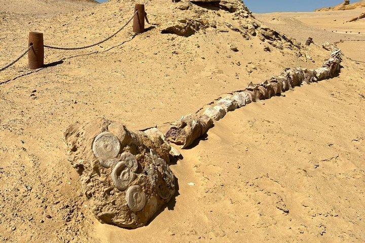 プライベート・バレー・オブ・ホエールズ、ファユームのオアシス、カイロからの滝