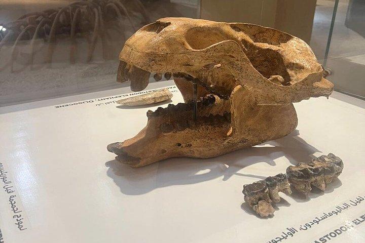 プライベート・バレー・オブ・ホエールズ、ファユームのオアシス、カイロからの滝