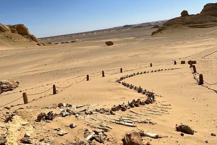プライベート・バレー・オブ・ホエールズ、ファユームのオアシス、カイロからの滝