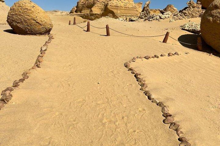 プライベート・バレー・オブ・ホエールズ、ファユームのオアシス、カイロからの滝