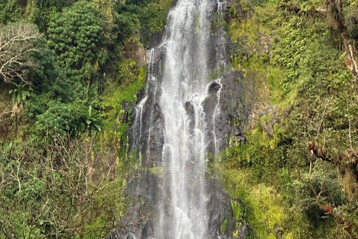 Materuni Waterfall Hike & Authentic Chagga Coffee Lunch