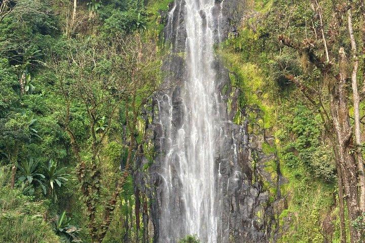 Materuni Waterfall Hike & Authentic Chagga Coffee Lunch