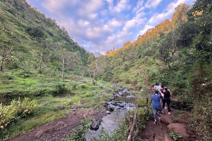 Materuni Waterfall Hike & Authentic Chagga Coffee Lunch