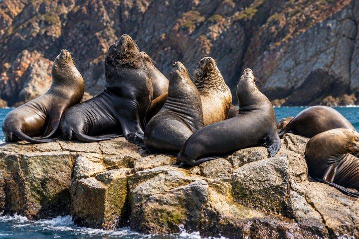 リマ：パラカス＆ワカチナ-イスラスバジェスタスとサンドボードへの日