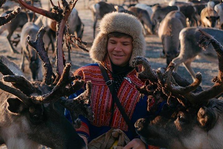 Sami Culture and Reindeer Experience in Tromso with Sami Meal