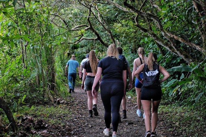 La Fortuna Waterfall, Volcano Hike, Safari Float Combo Tour