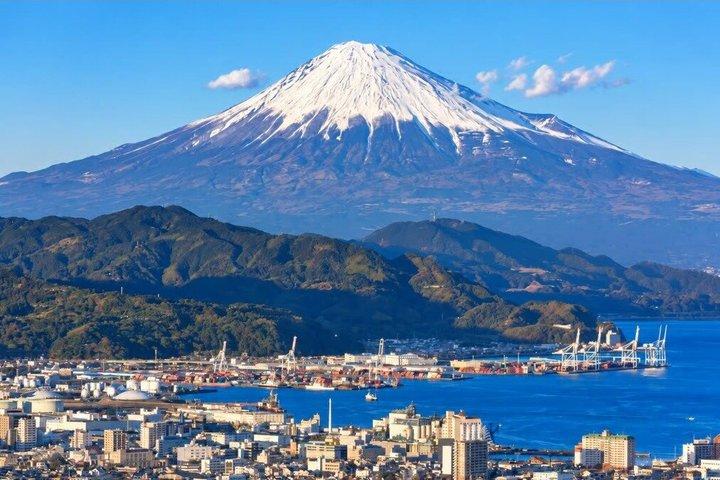 From Tokyo: Private Day Trip to Izu & Shimoda, Shizuoka