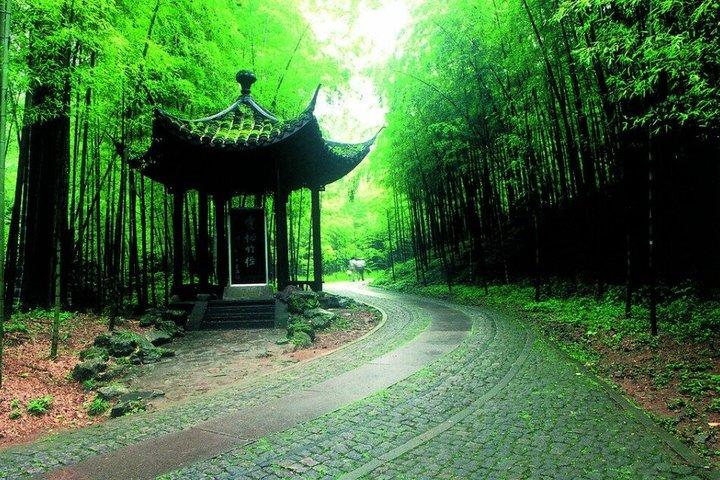雲西竹林と西湖と茶畑と庭園の家