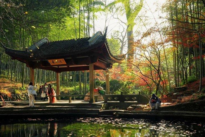 雲西竹林と西湖と茶畑と庭園の家