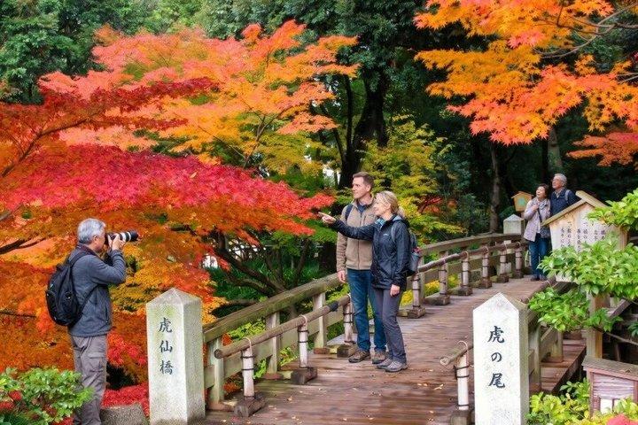 現地ガイド付き名古屋プライベートカスタムツアー